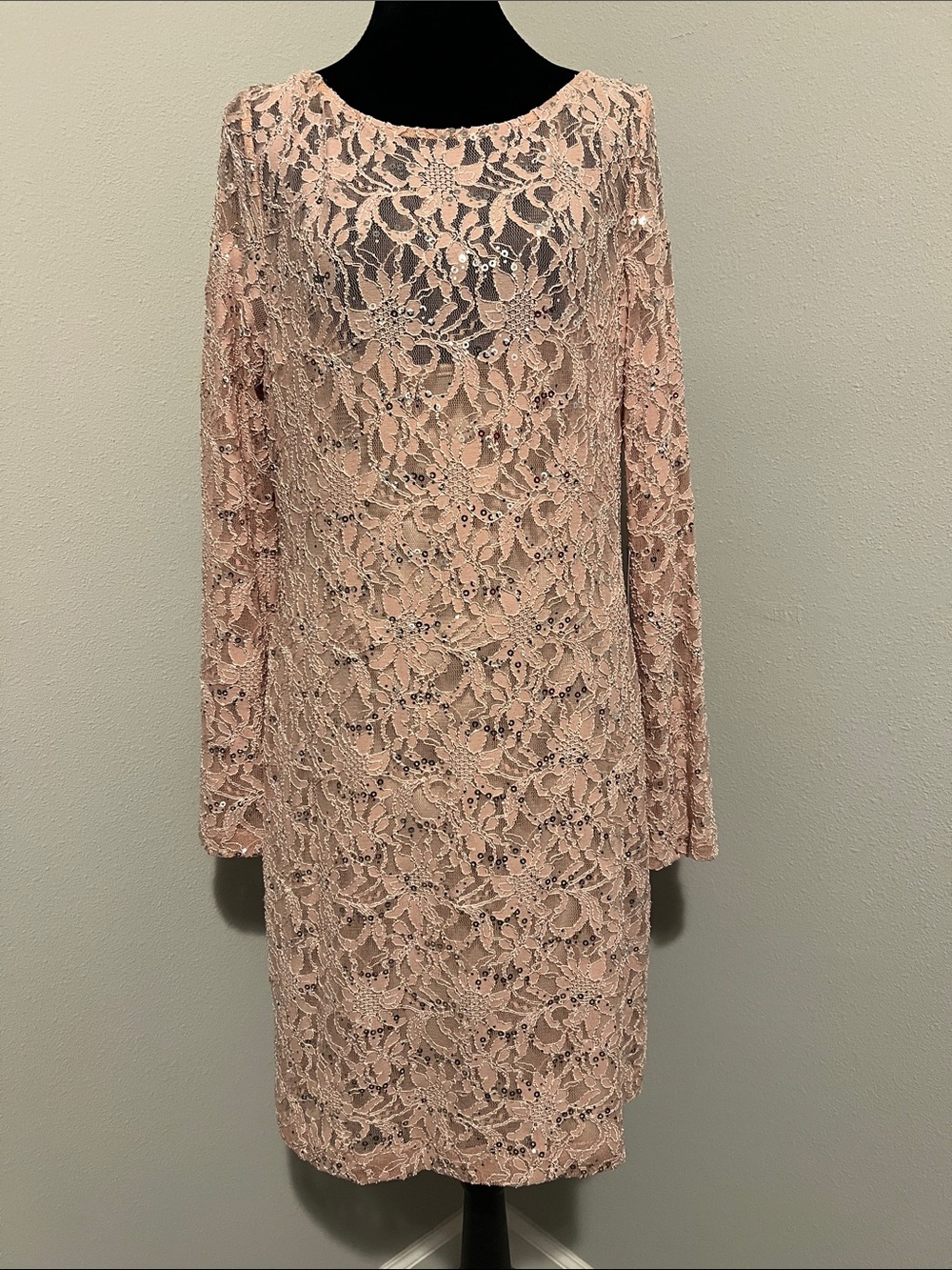 JS Collections Blush Pink Lace Long-Sleeve Dress